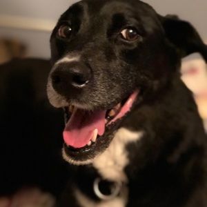 Meet your Posher, Tori